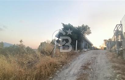İzmir Bornova Yakaköy Satılık 2+1 Verandalı ev ve Tarla 