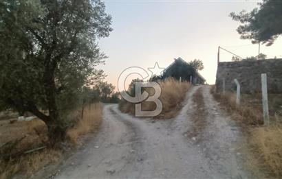 İzmir Bornova Yakaköy Satılık 2+1 Verandalı ev ve Tarla 