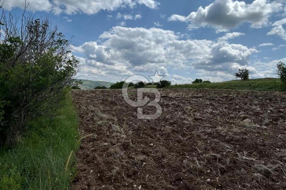 TEK TAPU,ASFALT YOL CEPHELİ (125m),BAHÇE ve EVİ İÇİN UYGUN TARLA