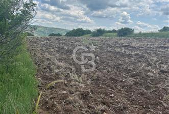 TEK TAPU,ASFALT YOL CEPHELİ (125m),BAHÇE ve EVİ İÇİN UYGUN TARLA