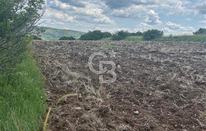 TEK TAPU,ASFALT YOL CEPHELİ (125m),BAHÇE ve EVİ İÇİN UYGUN TARLA