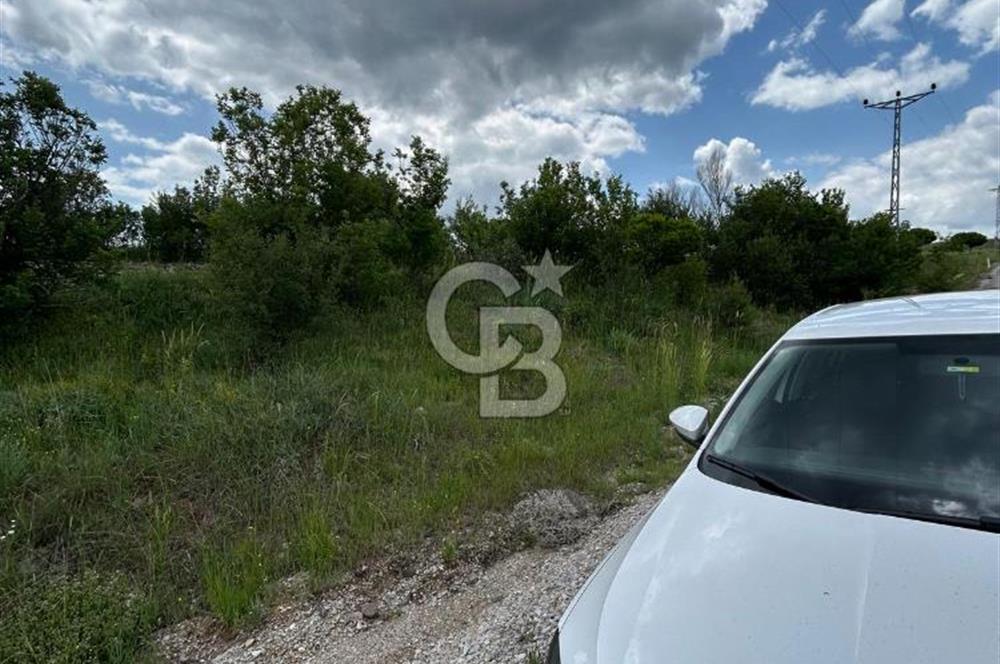 TEK TAPU,ASFALT YOL CEPHELİ (125m),BAHÇE ve EVİ İÇİN UYGUN TARLA