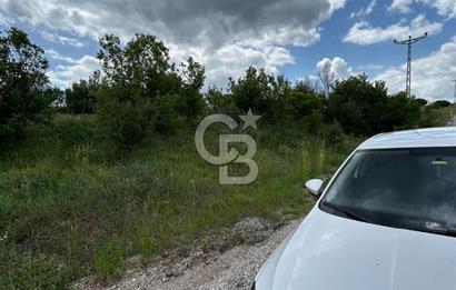 TEK TAPU,ASFALT YOL CEPHELİ (125m),BAHÇE ve EVİ İÇİN UYGUN TARLA