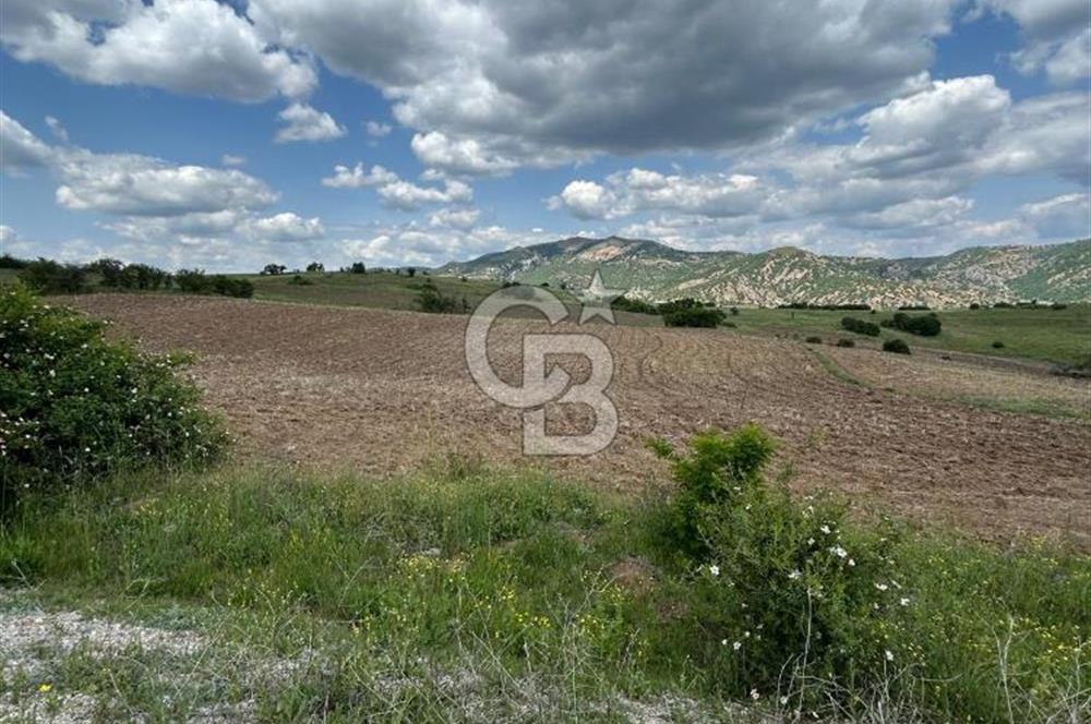 TEK TAPU,ASFALT YOL CEPHELİ (125m),BAHÇE ve EVİ İÇİN UYGUN TARLA