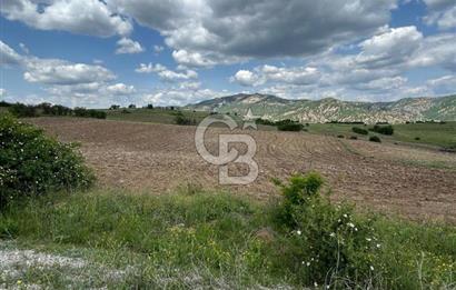 TEK TAPU,ASFALT YOL CEPHELİ (125m),BAHÇE ve EVİ İÇİN UYGUN TARLA