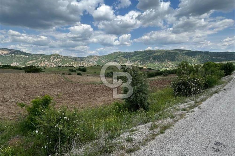 TEK TAPU,ASFALT YOL CEPHELİ (125m),BAHÇE ve EVİ İÇİN UYGUN TARLA