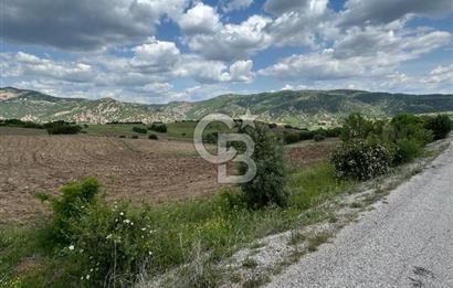 TEK TAPU,ASFALT YOL CEPHELİ (125m),BAHÇE ve EVİ İÇİN UYGUN TARLA