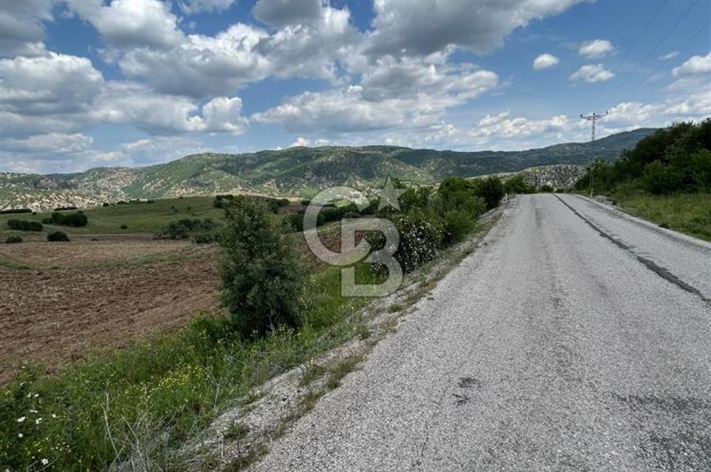 TEK TAPU,ASFALT YOL CEPHELİ (125m),BAHÇE ve EVİ İÇİN UYGUN TARLA