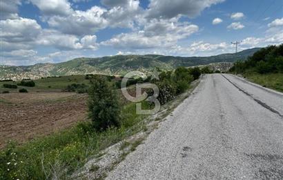 TEK TAPU,ASFALT YOL CEPHELİ (125m),BAHÇE ve EVİ İÇİN UYGUN TARLA