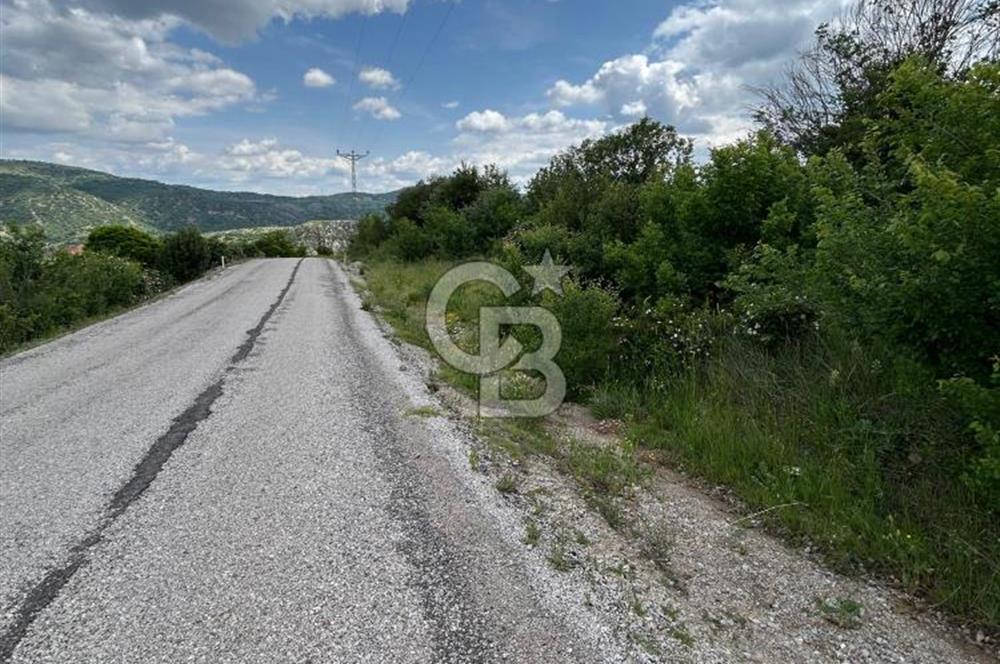 TEK TAPU,ASFALT YOL CEPHELİ (125m),BAHÇE ve EVİ İÇİN UYGUN TARLA