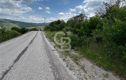 TEK TAPU,ASFALT YOL CEPHELİ (125m),BAHÇE ve EVİ İÇİN UYGUN TARLA
