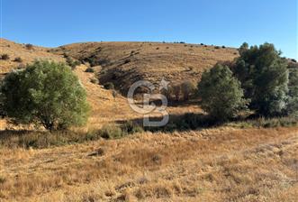 CB CITY'DEN ULUDERE DE SATILIK SULAK ARAZİ