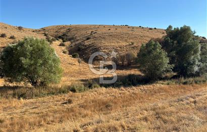 CB CITY'DEN ULUDERE DE SATILIK SULAK ARAZİ