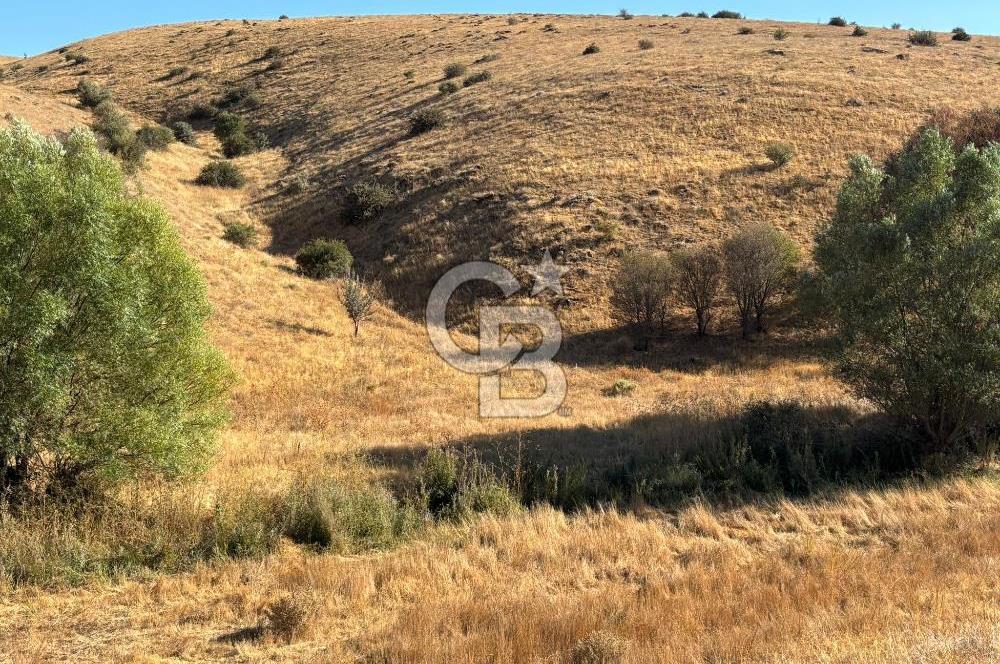 CB CITY'DEN ULUDERE DE SATILIK SULAK ARAZİ