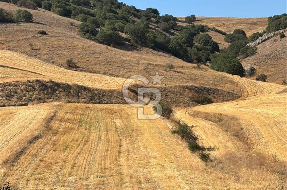 CB CITY'DEN ULUDERE MAHALLESİNDE SATILIK TARLA