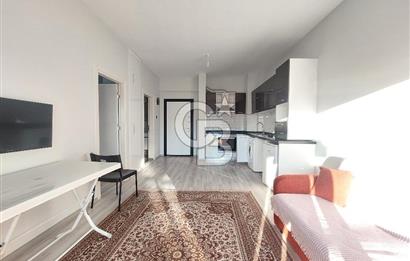 Seyrek Studio City Çarşı Etabında Eşyalı 1+1 Kiralık Daire