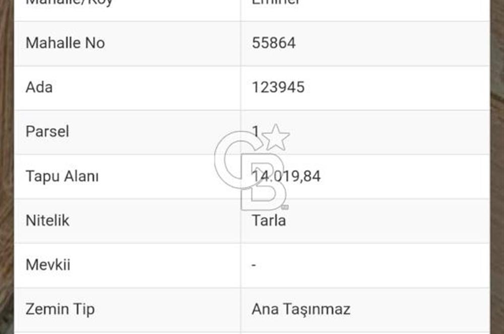 GÖLBAŞI EMİRLER MAHALLESİNDE 14 DÖNÜM SATILIK TARLA
