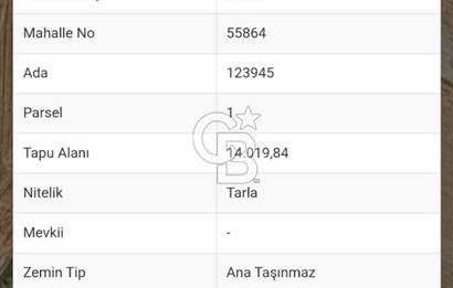 GÖLBAŞI EMİRLER MAHALLESİNDE 14 DÖNÜM SATILIK TARLA
