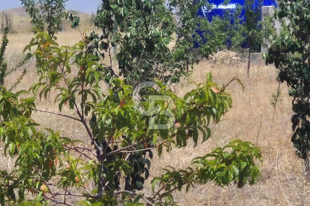 GÖLBAŞI EMİRLER MAHALLESİNDE 14 DÖNÜM SATILIK TARLA