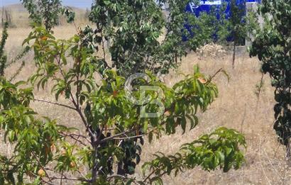 GÖLBAŞI EMİRLER MAHALLESİNDE 14 DÖNÜM SATILIK TARLA