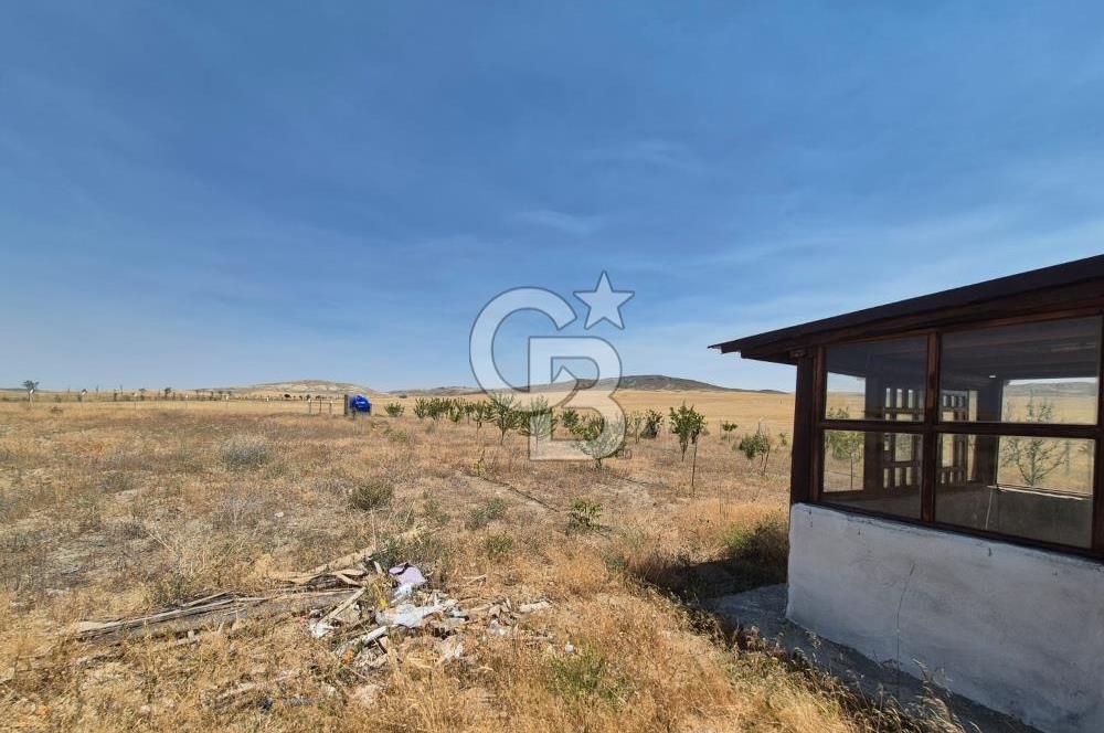 GÖLBAŞI EMİRLER MAHALLESİNDE 14 DÖNÜM SATILIK TARLA