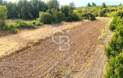 Çanakkale Lapseki Suluca Deniz ve Boğaz Manzaralı 1712 m2 Tarla 