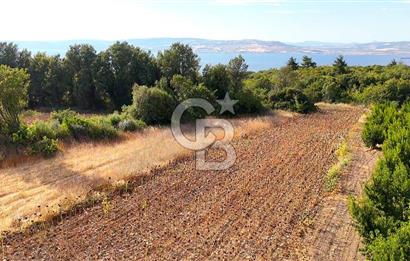 Çanakkale Lapseki Suluca Deniz ve Boğaz Manzaralı 1712 m2 Tarla 