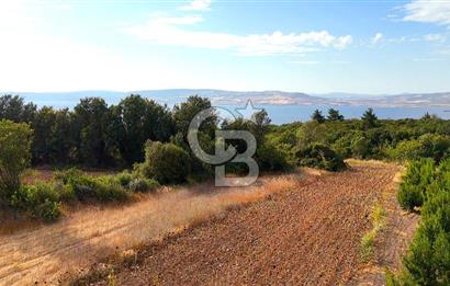 Çanakkale Lapseki Suluca Deniz ve Boğaz Manzaralı 1712 m2 Tarla 
