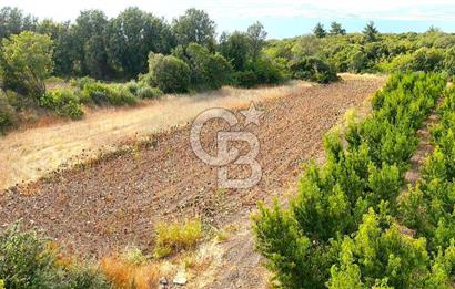 Çanakkale Lapseki Suluca Deniz ve Boğaz Manzaralı 1712 m2 Tarla 