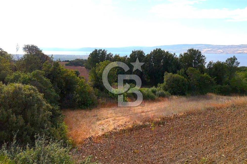 Çanakkale Lapseki Suluca Deniz ve Boğaz Manzaralı 1712 m2 Tarla 