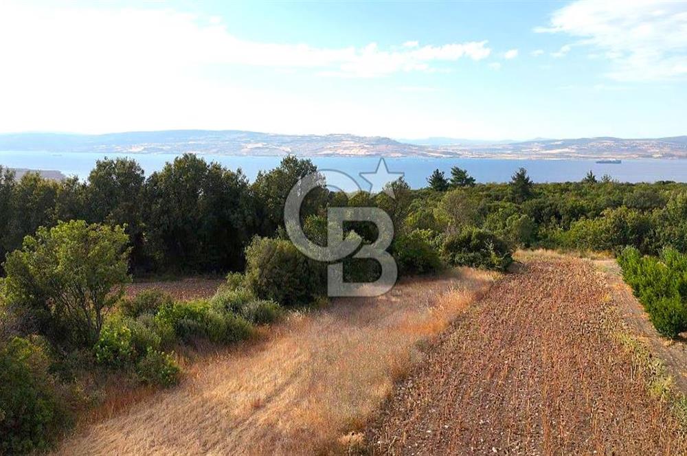 Çanakkale Lapseki Suluca Deniz ve Boğaz Manzaralı 1712 m2 Tarla 