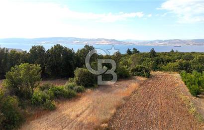 Çanakkale Lapseki Suluca Deniz ve Boğaz Manzaralı 1712 m2 Tarla 
