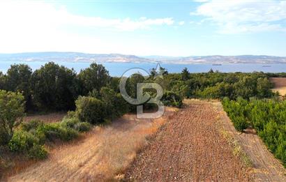 Çanakkale Lapseki Suluca Deniz ve Boğaz Manzaralı 1712 m2 Tarla 