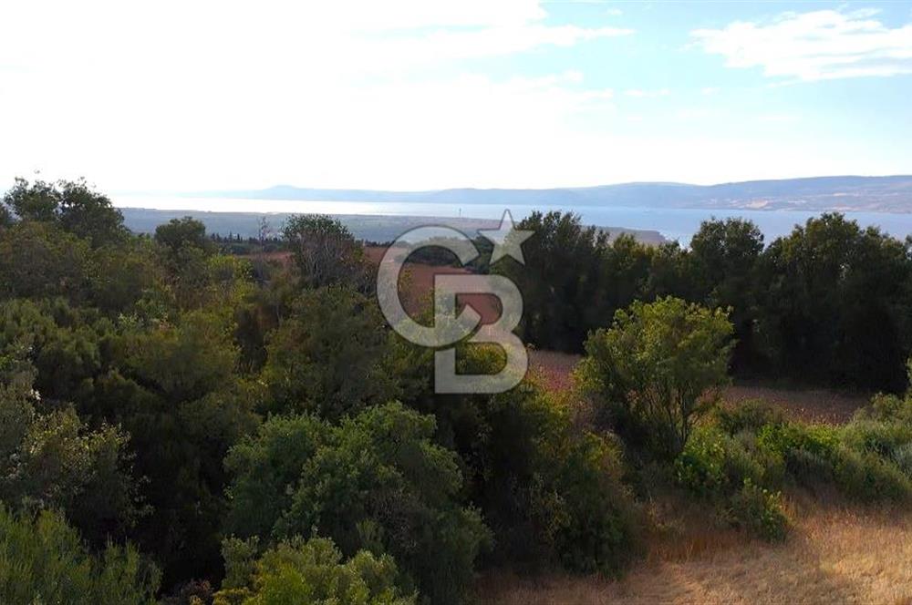Çanakkale Lapseki Suluca Deniz ve Boğaz Manzaralı 1712 m2 Tarla 