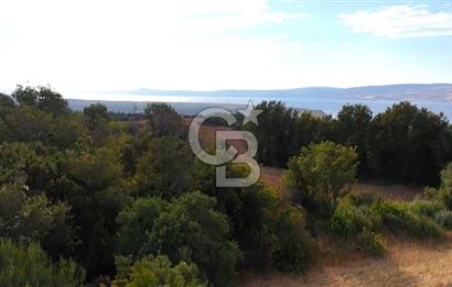 Çanakkale Lapseki Suluca Deniz ve Boğaz Manzaralı 1712 m2 Tarla 