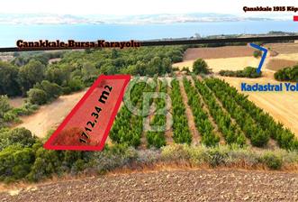 Çanakkale Lapseki Suluca Deniz ve Boğaz Manzaralı 1712 m2 Tarla 