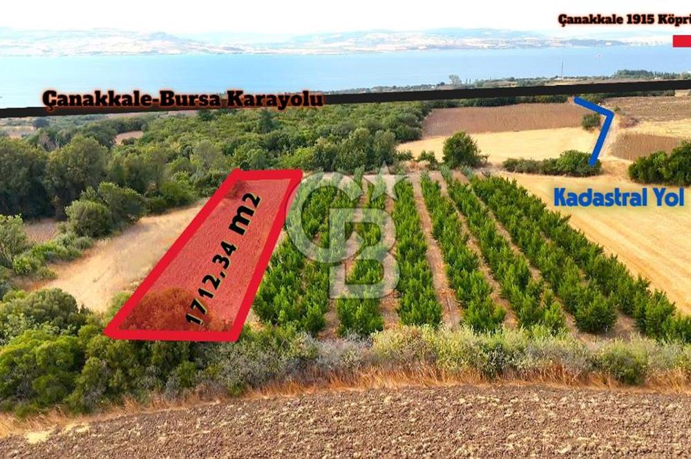 Çanakkale Lapseki Suluca Deniz ve Boğaz Manzaralı 1712 m2 Tarla 