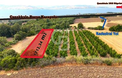 Çanakkale Lapseki Suluca Deniz ve Boğaz Manzaralı 1712 m2 Tarla 