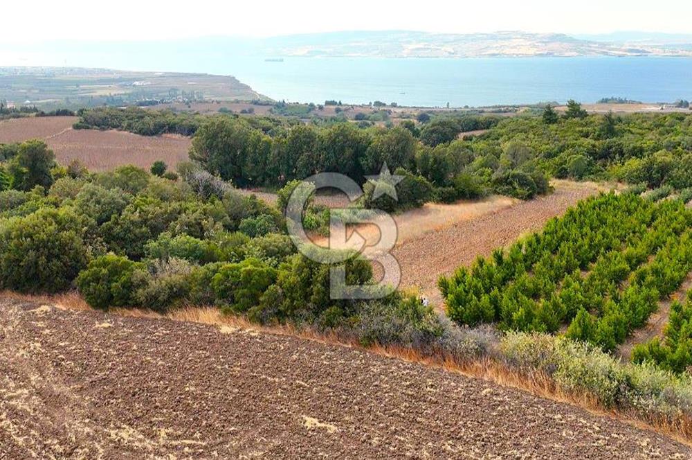 Çanakkale Lapseki Suluca Deniz ve Boğaz Manzaralı 1712 m2 Tarla 