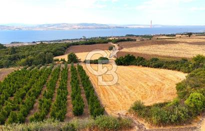 Çanakkale Lapseki Suluca Deniz ve Boğaz Manzaralı 1712 m2 Tarla 
