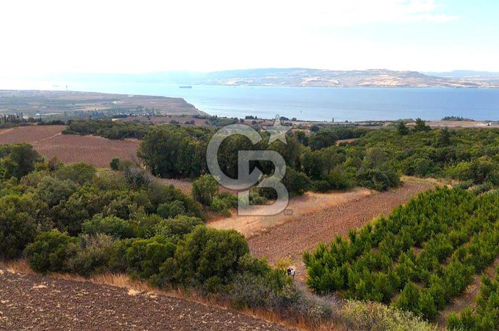 Çanakkale Lapseki Suluca Deniz ve Boğaz Manzaralı 1712 m2 Tarla 