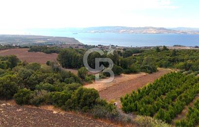 Çanakkale Lapseki Suluca Deniz ve Boğaz Manzaralı 1712 m2 Tarla 