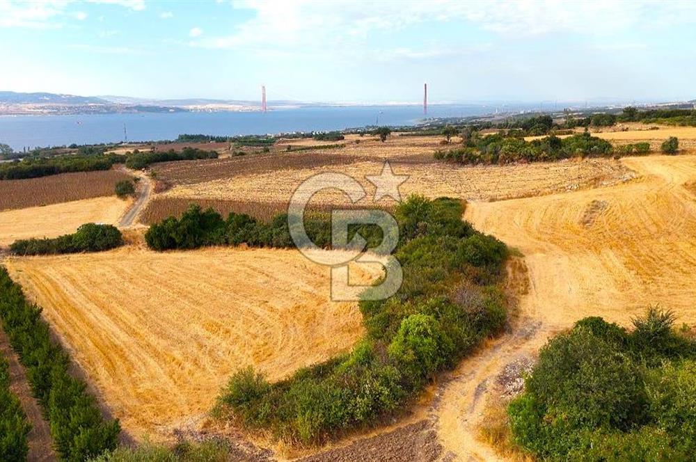 Çanakkale Lapseki Suluca Deniz ve Boğaz Manzaralı 1712 m2 Tarla 