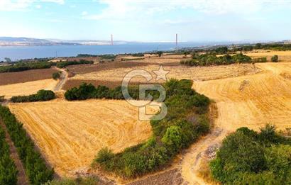 Çanakkale Lapseki Suluca Deniz ve Boğaz Manzaralı 1712 m2 Tarla 