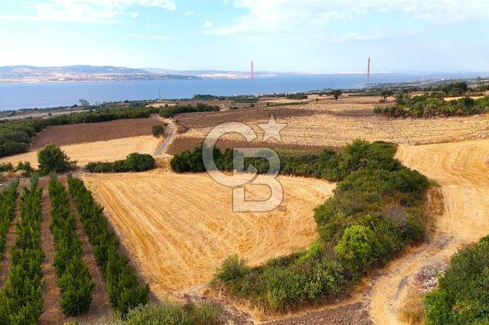 Çanakkale Lapseki Suluca Deniz ve Boğaz Manzaralı 1712 m2 Tarla 