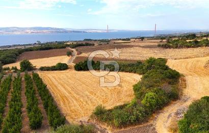 Çanakkale Lapseki Suluca Deniz ve Boğaz Manzaralı 1712 m2 Tarla 