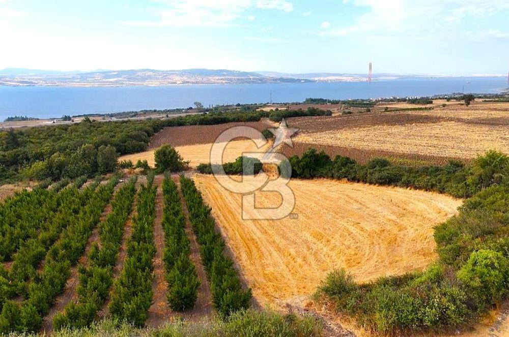 Çanakkale Lapseki Suluca Deniz ve Boğaz Manzaralı 1712 m2 Tarla 