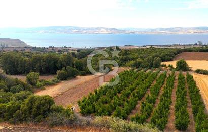 Çanakkale Lapseki Suluca Deniz ve Boğaz Manzaralı 1712 m2 Tarla 