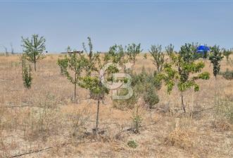 GÖLBAŞI EMİRLER MAHALLESİNDE 14 DÖNÜM SATILIK TARLA