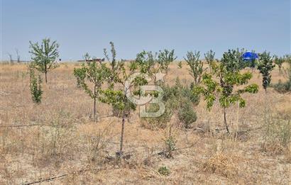 GÖLBAŞI EMİRLER MAHALLESİNDE 14 DÖNÜM SATILIK TARLA